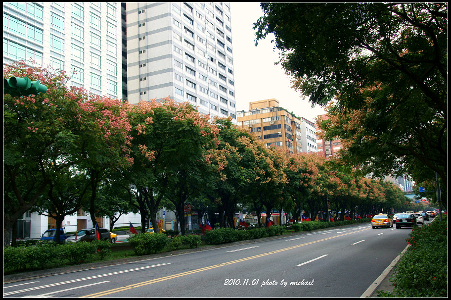 (遊記) 2010.11.1 原來京城也有好風景 / 悠哉的午後時光(北市敦南)