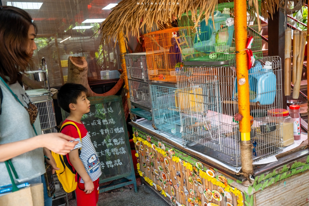 【汐止美食】銘記越南美食～超美的越南庭園景觀餐廳，汐止在地經營25年的正宗越南料理，汐止越南料推薦。