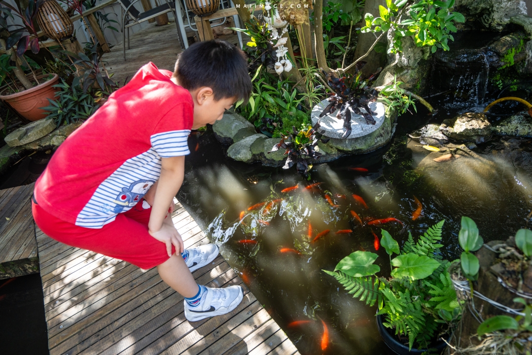 【汐止美食】銘記越南美食～超美的越南庭園景觀餐廳，汐止在地經營25年的正宗越南料理，汐止越南料推薦。