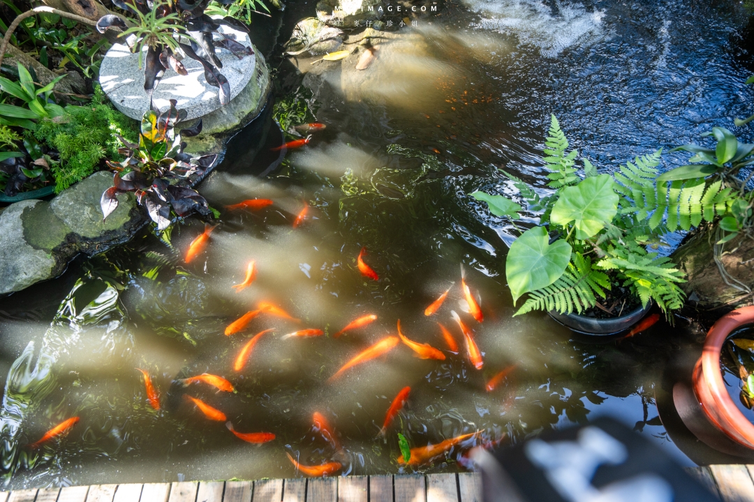 【汐止美食】銘記越南美食～超美的越南庭園景觀餐廳，汐止在地經營25年的正宗越南料理，汐止越南料推薦。