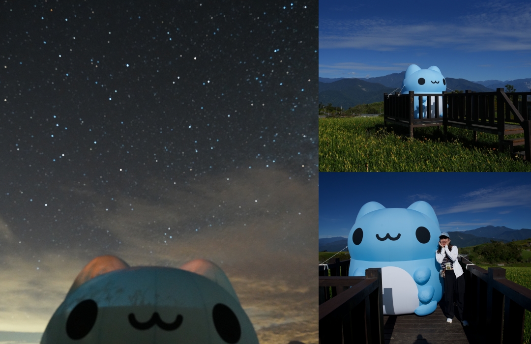 【花蓮富里金針花】2025花蓮富里六十石山金針花季來囉～在地金針花風味餐、竹炭包手作DIY體驗、忘憂亭小瑞士、田媽媽