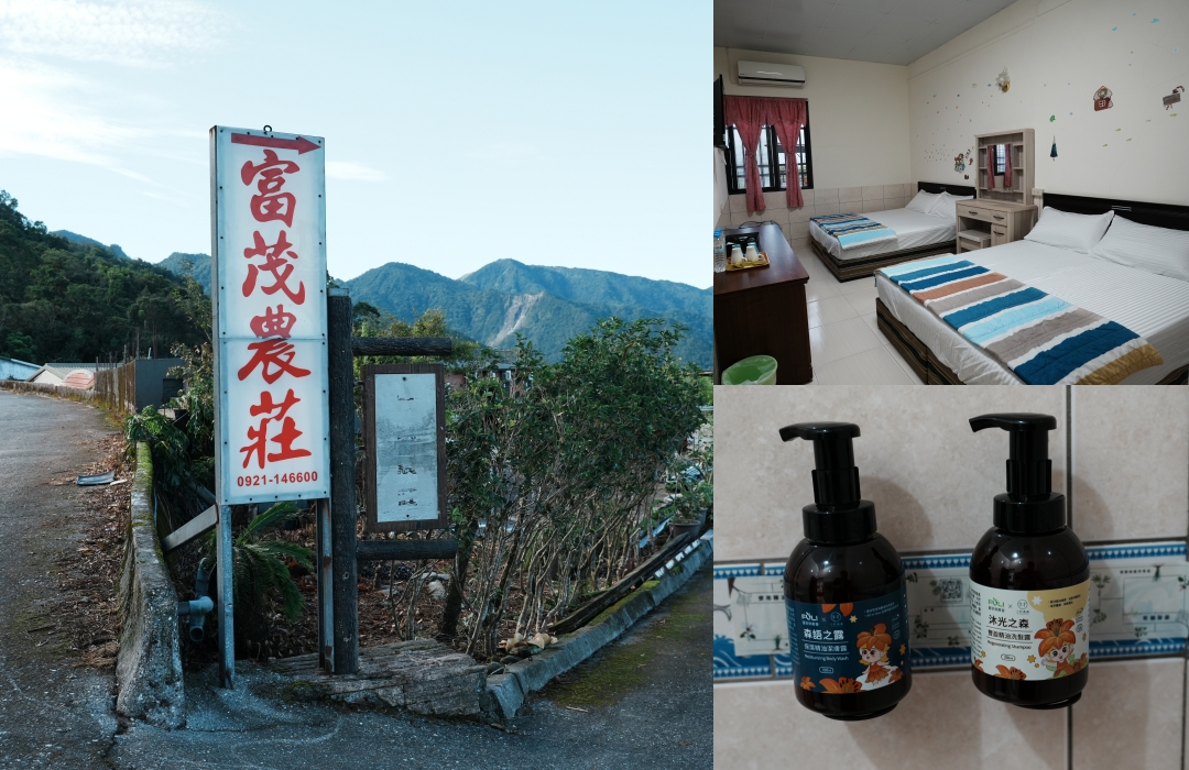 【花蓮富里金針花】2025花蓮富里六十石山金針花季來囉～在地金針花風味餐、竹炭包手作DIY體驗、忘憂亭小瑞士、田媽媽