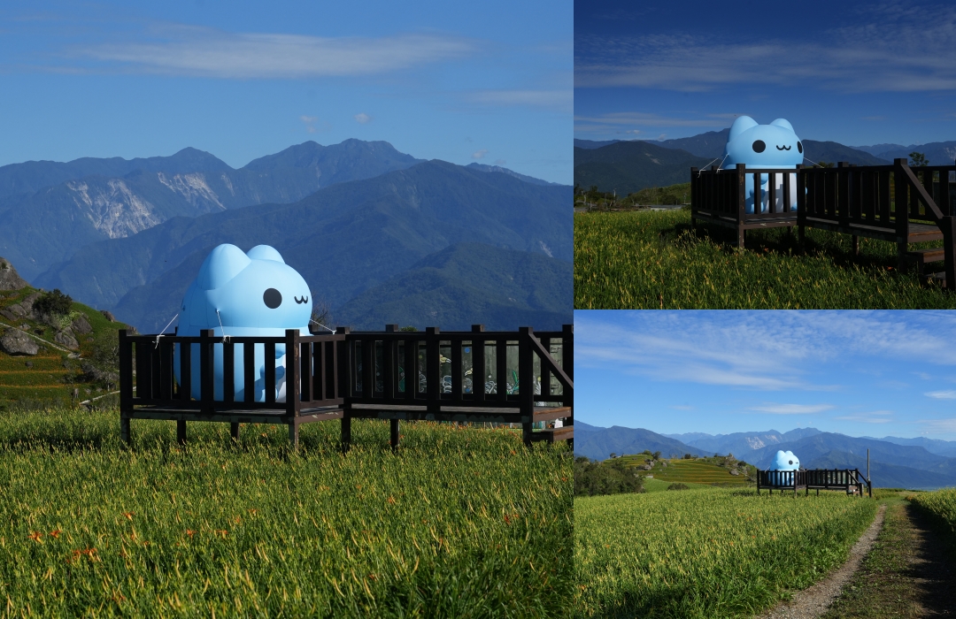 【花蓮富里金針花】2025花蓮富里六十石山金針花季來囉～在地金針花風味餐、竹炭包手作DIY體驗、忘憂亭小瑞士、田媽媽