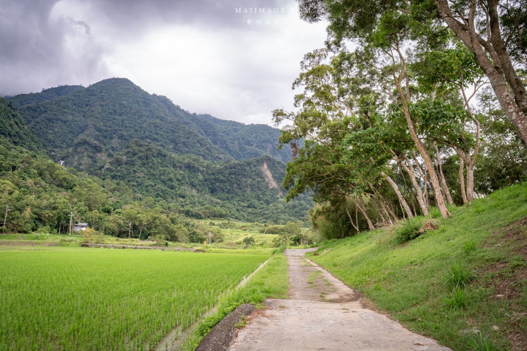 【花蓮富里景點】羅山竹林步道散策，里山竹炭包DIY體驗、羅山泥火山、羅山大魚池、羅山瀑布。