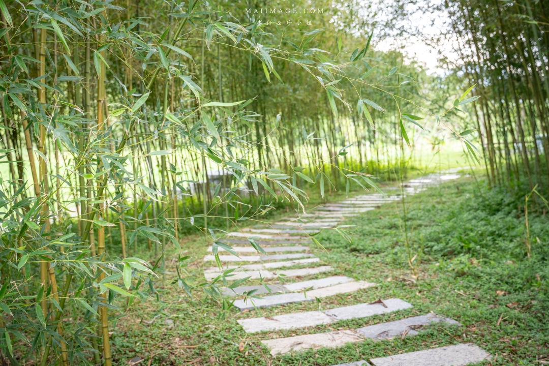 【花蓮富里景點】羅山竹林步道散策，里山竹炭包DIY體驗、羅山泥火山、羅山大魚池、羅山瀑布。