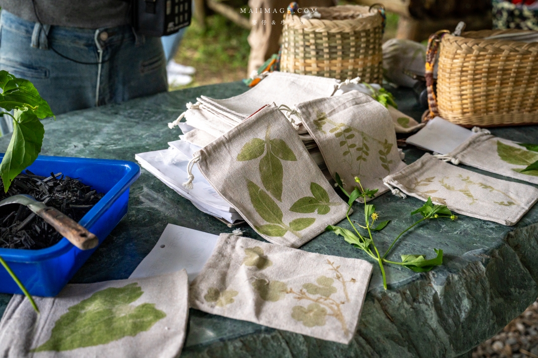 【花蓮富里景點】羅山竹林步道散策，里山竹炭包DIY體驗、羅山泥火山、羅山大魚池、羅山瀑布。
