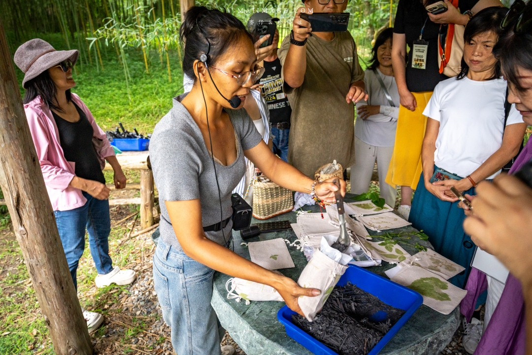 【花蓮富里景點】羅山竹林步道散策，里山竹炭包DIY體驗、羅山泥火山、羅山大魚池、羅山瀑布。