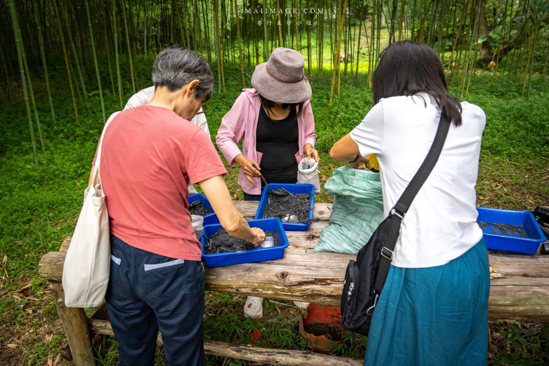 【花蓮富里景點】羅山竹林步道散策，里山竹炭包DIY體驗、羅山泥火山、羅山大魚池、羅山瀑布。