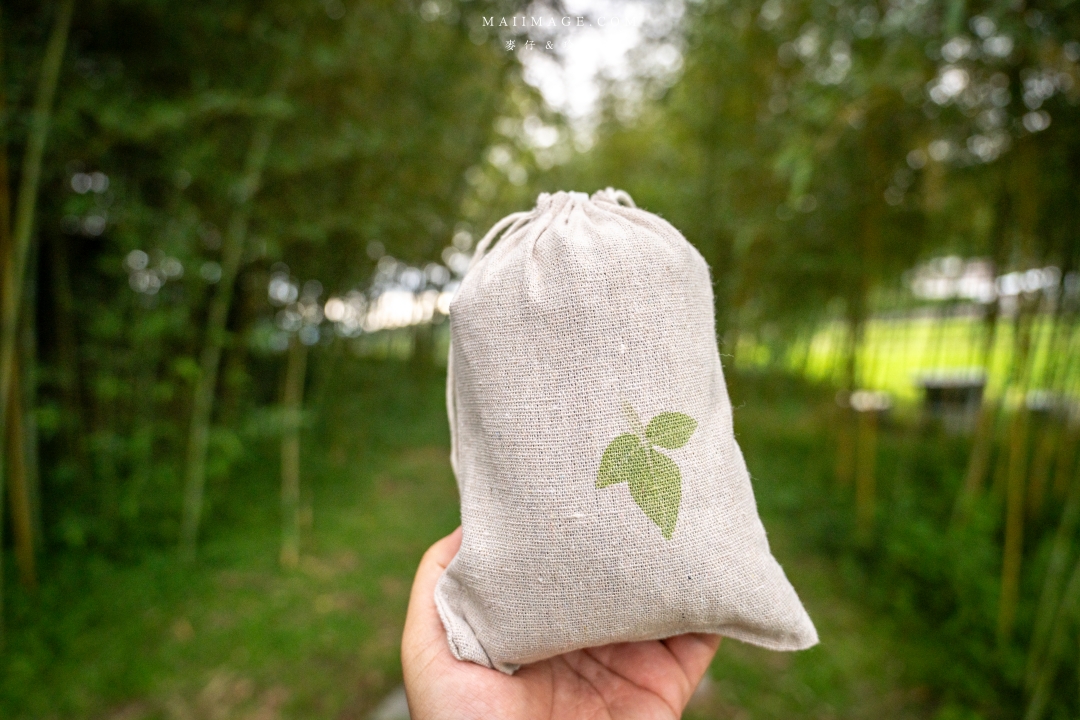 【花蓮富里景點】羅山竹林步道散策，里山竹炭包DIY體驗、羅山泥火山、羅山大魚池、羅山瀑布。