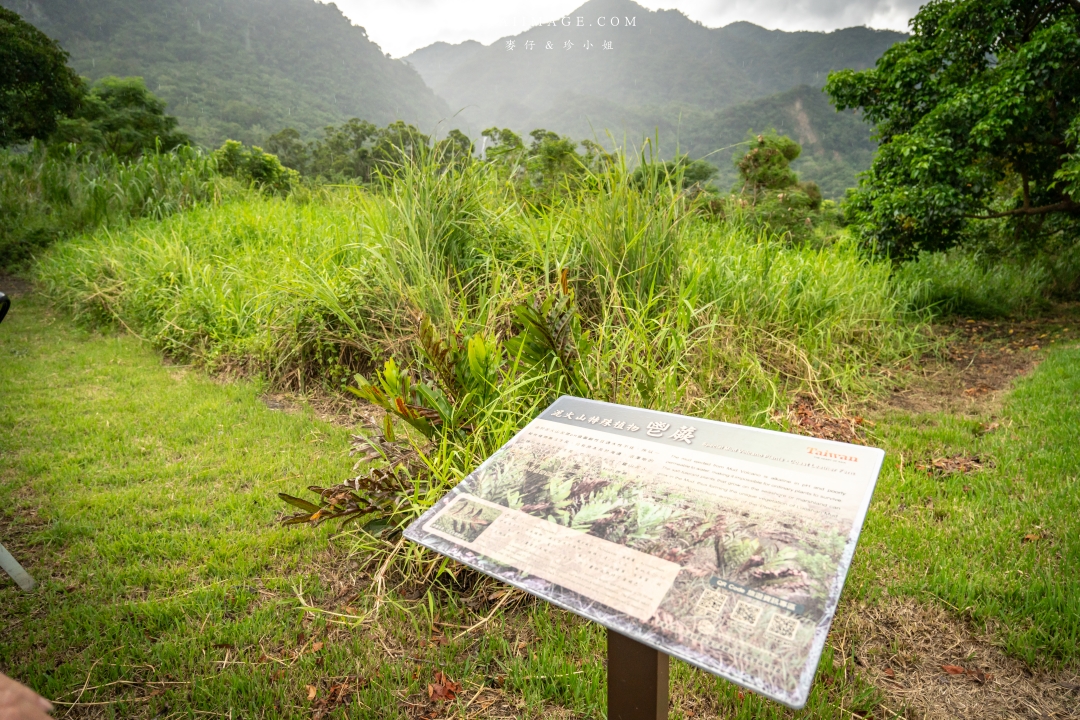 【花蓮富里景點】羅山竹林步道散策，里山竹炭包DIY體驗、羅山泥火山、羅山大魚池、羅山瀑布。