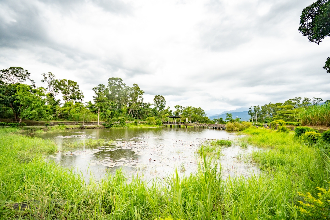 【花蓮富里景點】羅山竹林步道散策，里山竹炭包DIY體驗、羅山泥火山、羅山大魚池、羅山瀑布。