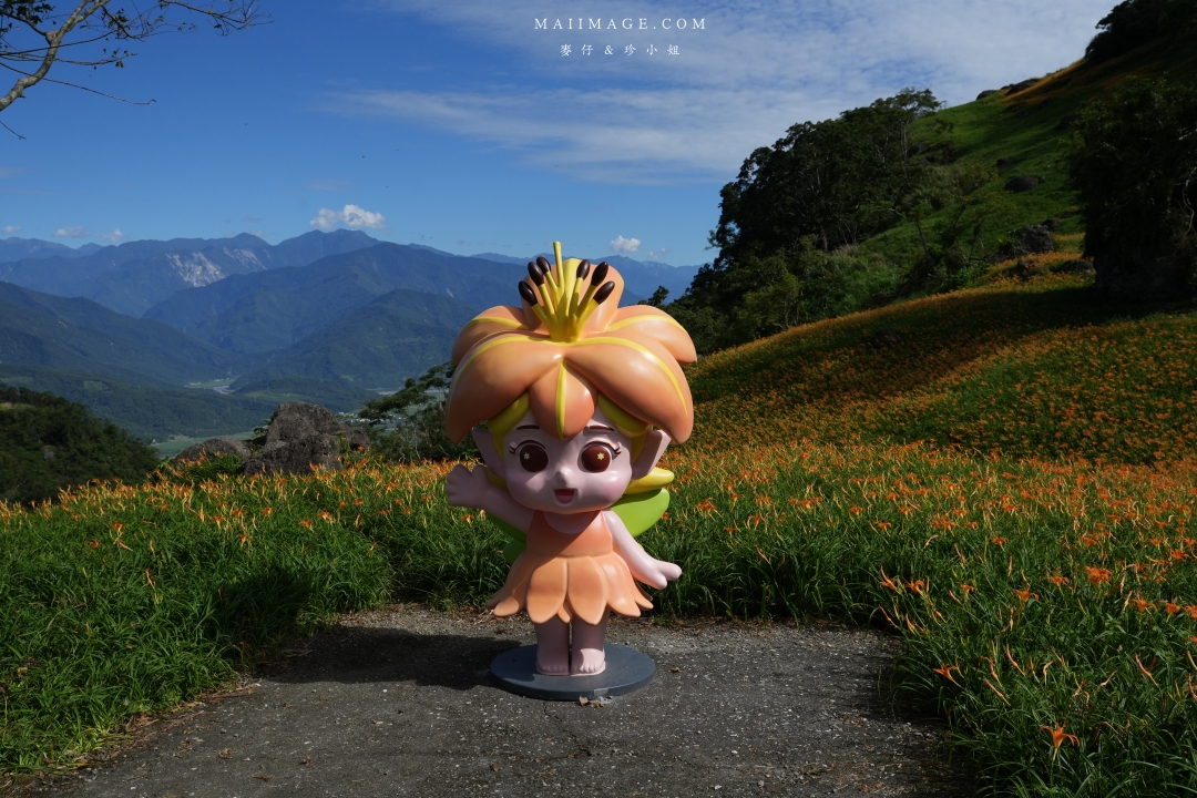 【花蓮富里金針花】2025花蓮富里六十石山金針花季來囉～在地金針花風味餐、竹炭包手作DIY體驗、忘憂亭小瑞士、田媽媽