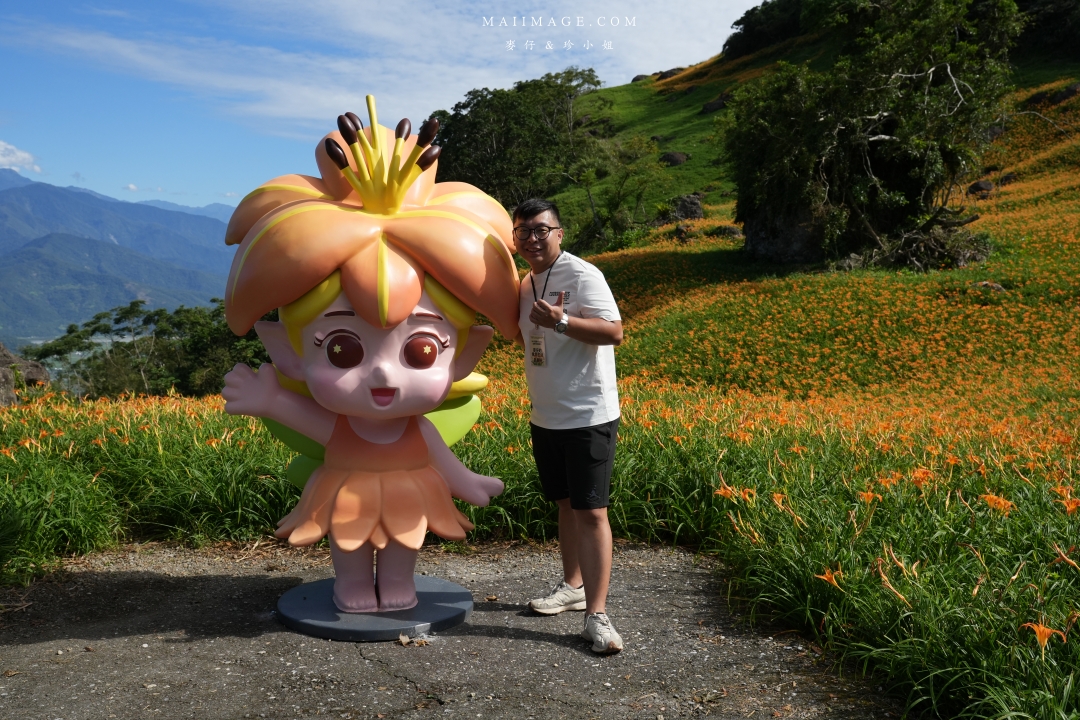 【花蓮富里金針花】2025花蓮富里六十石山金針花季來囉～在地金針花風味餐、竹炭包手作DIY體驗、忘憂亭小瑞士、田媽媽