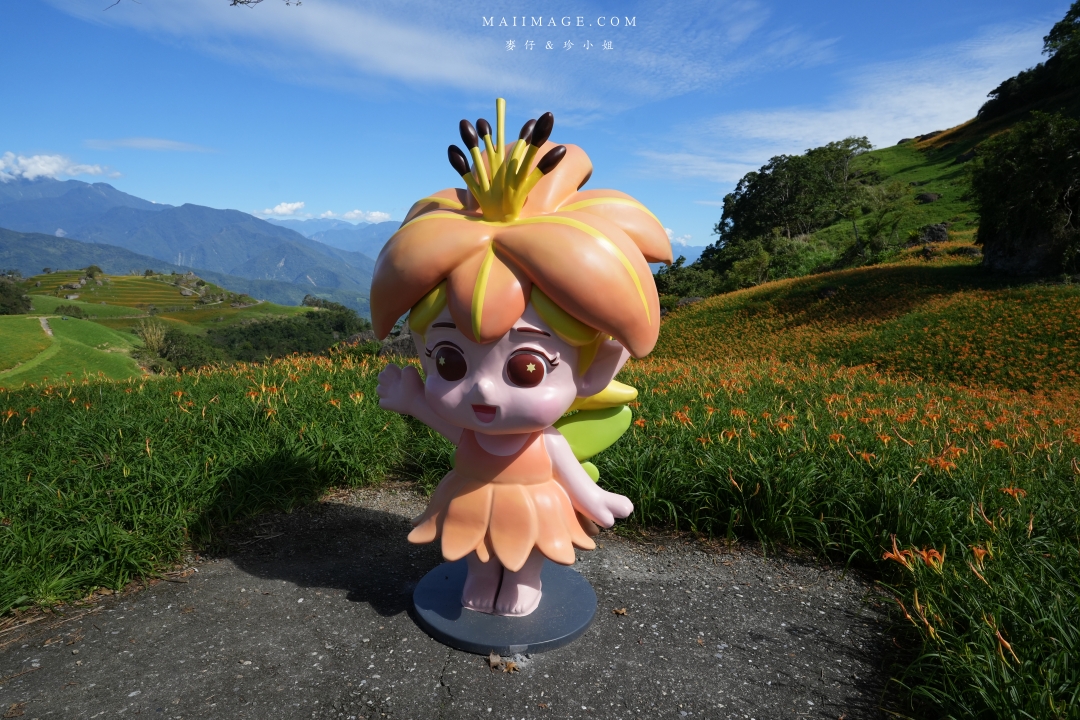 【花蓮富里金針花】2025花蓮富里六十石山金針花季來囉～在地金針花風味餐、竹炭包手作DIY體驗、忘憂亭小瑞士、田媽媽