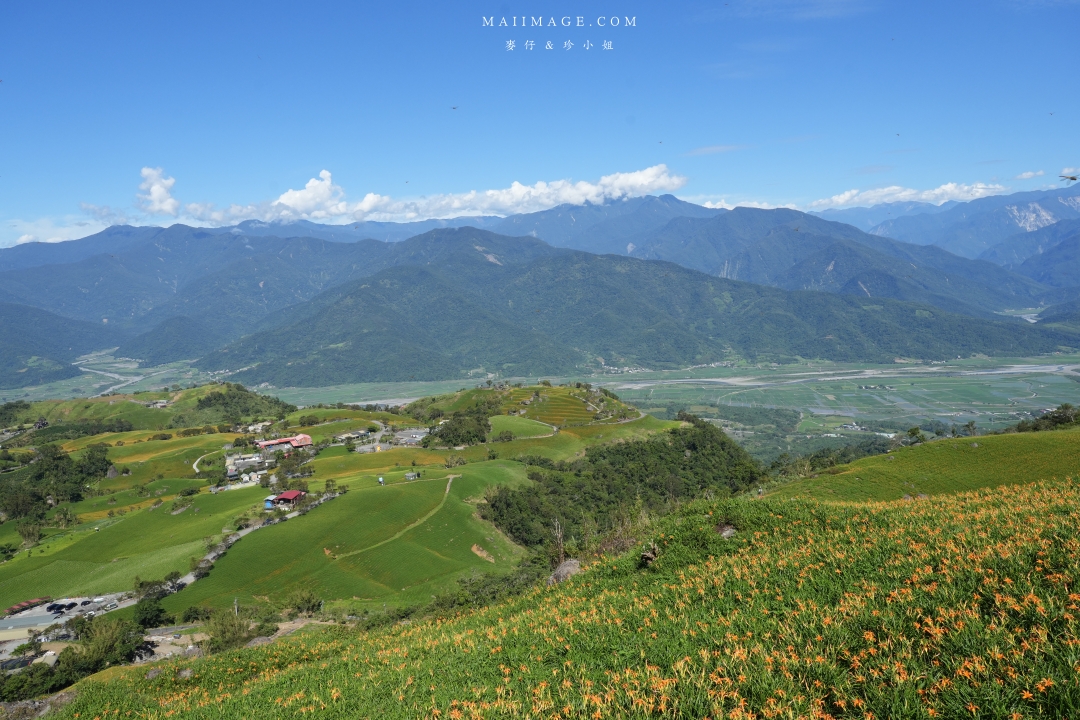 【花蓮富里金針花】2025花蓮富里六十石山金針花季來囉～在地金針花風味餐、竹炭包手作DIY體驗、忘憂亭小瑞士、田媽媽