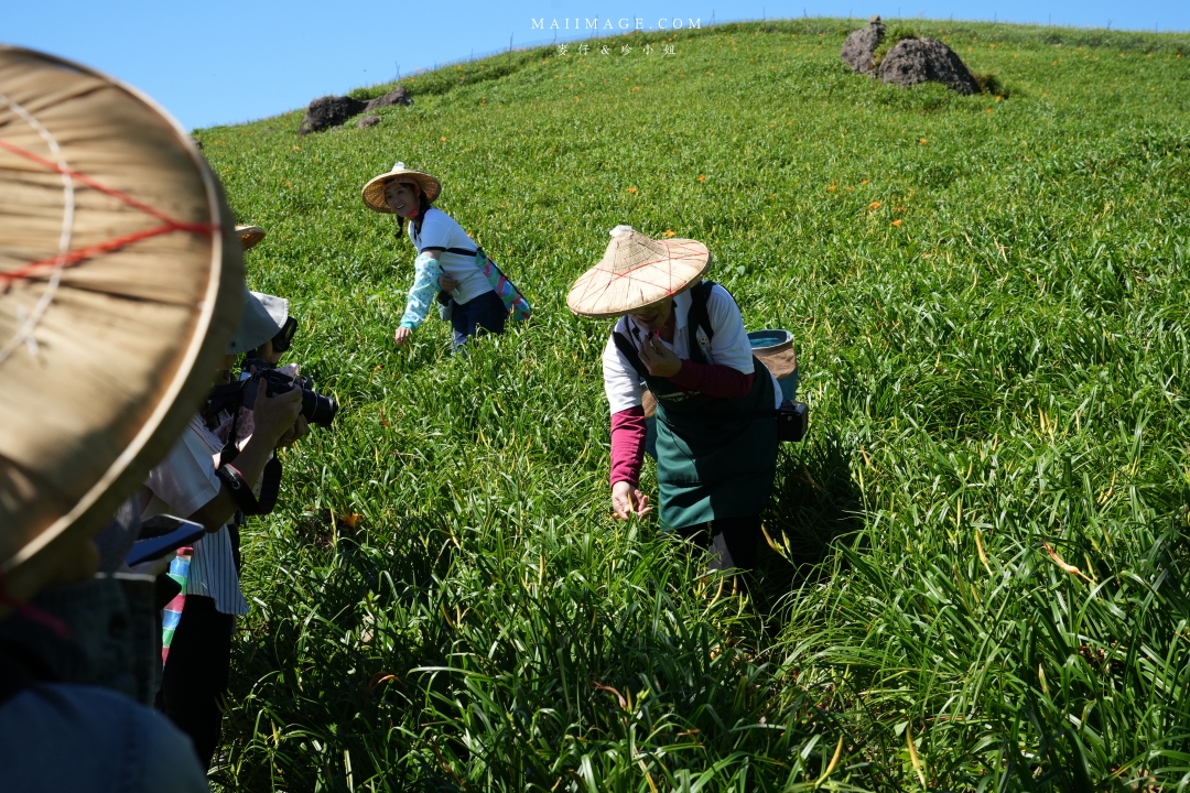 【花蓮富里金針花】2025花蓮富里六十石山金針花季來囉～在地金針花風味餐、竹炭包手作DIY體驗、忘憂亭小瑞士、田媽媽