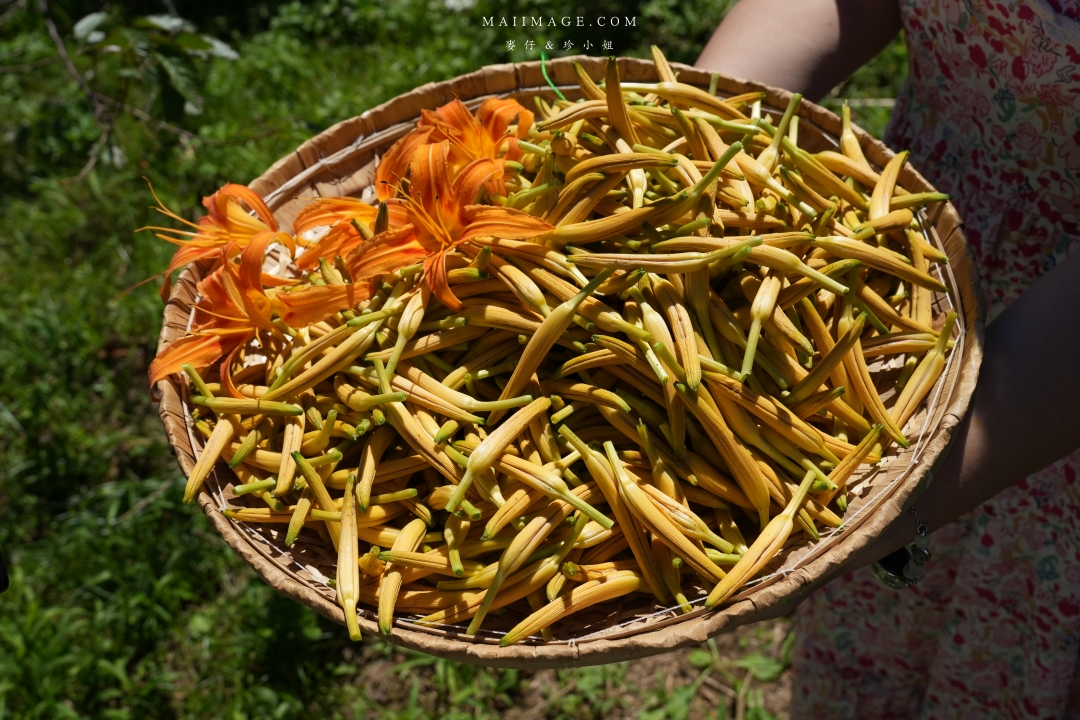 【花蓮富里金針花】2025花蓮富里六十石山金針花季來囉～在地金針花風味餐、竹炭包手作DIY體驗、忘憂亭小瑞士、田媽媽