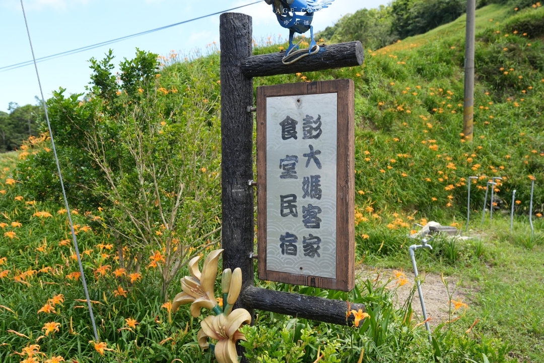 【花蓮富里金針花】2025花蓮富里六十石山金針花季來囉～在地金針花風味餐、竹炭包手作DIY體驗、忘憂亭小瑞士、田媽媽