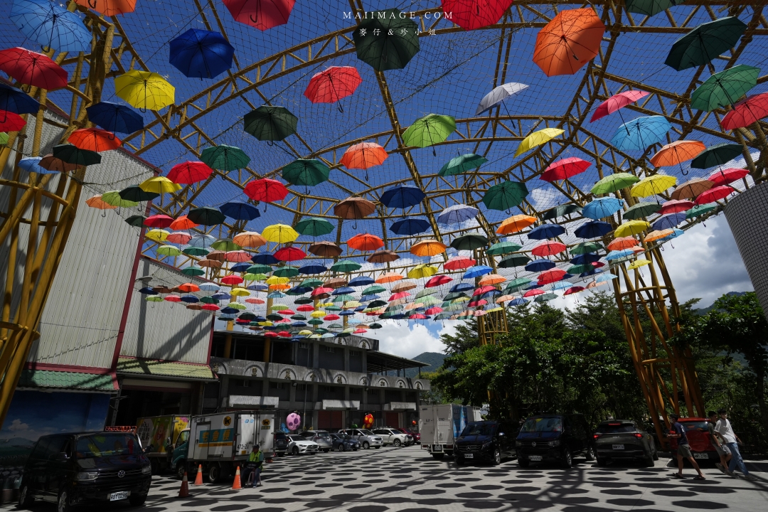 【花蓮富里金針花】2025花蓮富里六十石山金針花季來囉～在地金針花風味餐、竹炭包手作DIY體驗、忘憂亭小瑞士、田媽媽