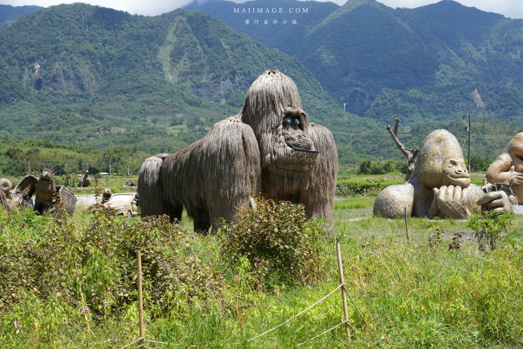【花蓮富里金針花】2025花蓮富里六十石山金針花季來囉～在地金針花風味餐、竹炭包手作DIY體驗、忘憂亭小瑞士、田媽媽