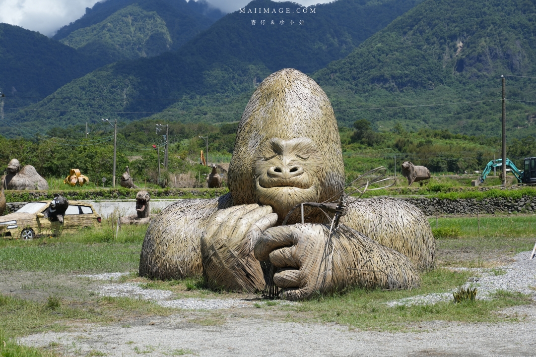 【花蓮富里金針花】2025花蓮富里六十石山金針花季來囉～在地金針花風味餐、竹炭包手作DIY體驗、忘憂亭小瑞士、田媽媽