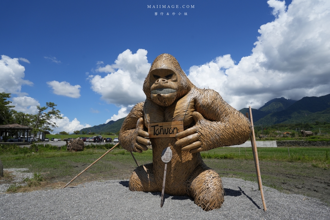 【花蓮富里金針花】2025花蓮富里六十石山金針花季來囉～在地金針花風味餐、竹炭包手作DIY體驗、忘憂亭小瑞士、田媽媽