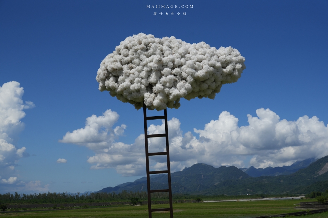 【花蓮富里金針花】2025花蓮富里六十石山金針花季來囉～在地金針花風味餐、竹炭包手作DIY體驗、忘憂亭小瑞士、田媽媽