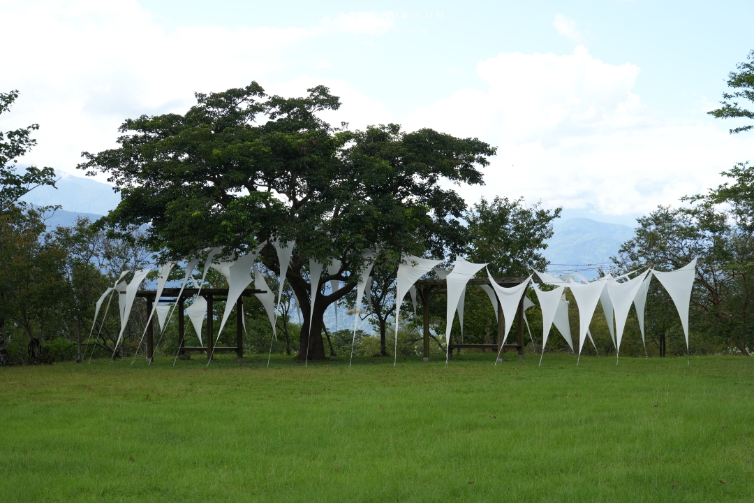 【花蓮富里金針花】2025花蓮富里六十石山金針花季來囉～在地金針花風味餐、竹炭包手作DIY體驗、忘憂亭小瑞士、田媽媽