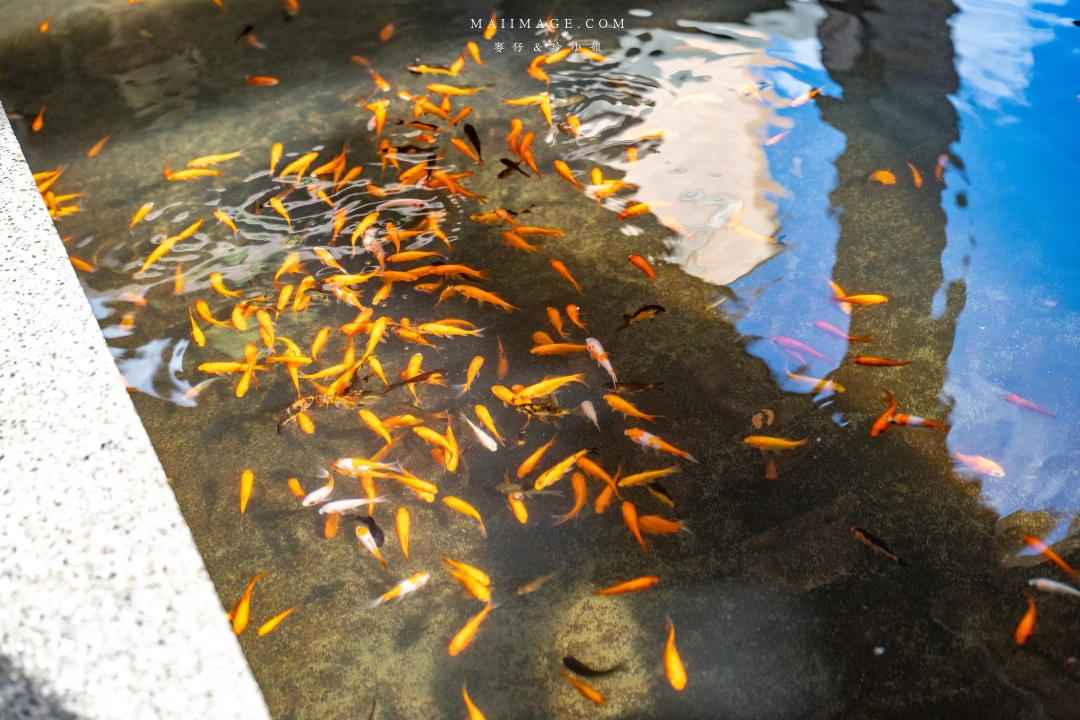 宜蘭礁溪溫泉散策～來礁溪不要只有泡湯，沿著礁溪轉運站旅遊服務中心來個不一樣的溫泉旅行，必去礁溪公園、足浴一條街，人人都是足浴特派員。