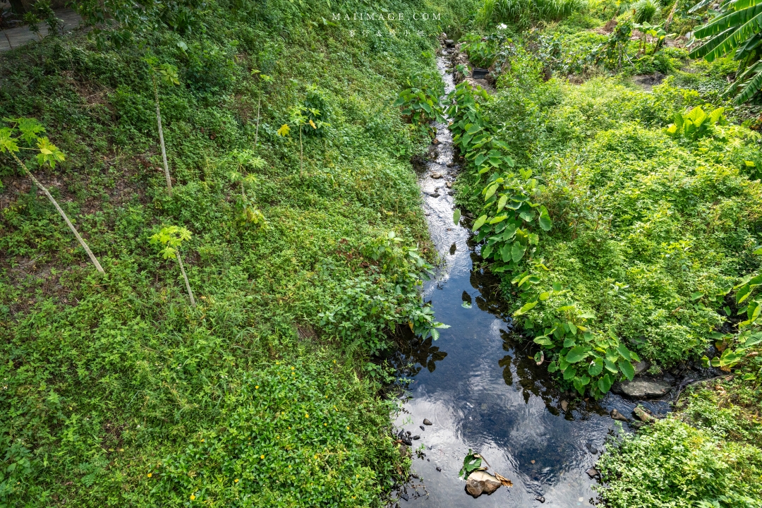 宜蘭礁溪溫泉散策～來礁溪不要只有泡湯，沿著礁溪轉運站旅遊服務中心來個不一樣的溫泉旅行，必去礁溪公園、足浴一條街，人人都是足浴特派員。