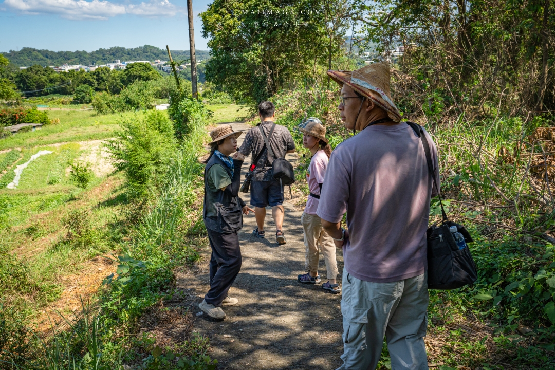 【新竹縣南埔散策】新竹南埔陳居百年水車～跟著水流尋找百年前的時光記憶。