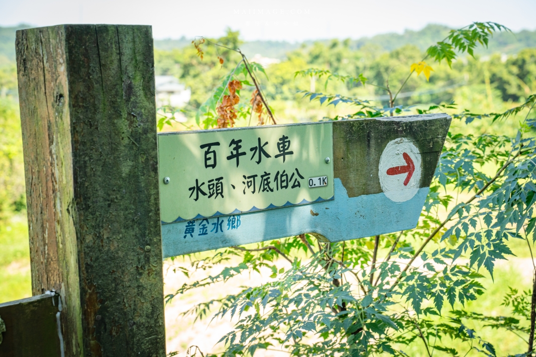 【新竹縣南埔散策】新竹南埔陳居百年水車～跟著水流尋找百年前的時光記憶。