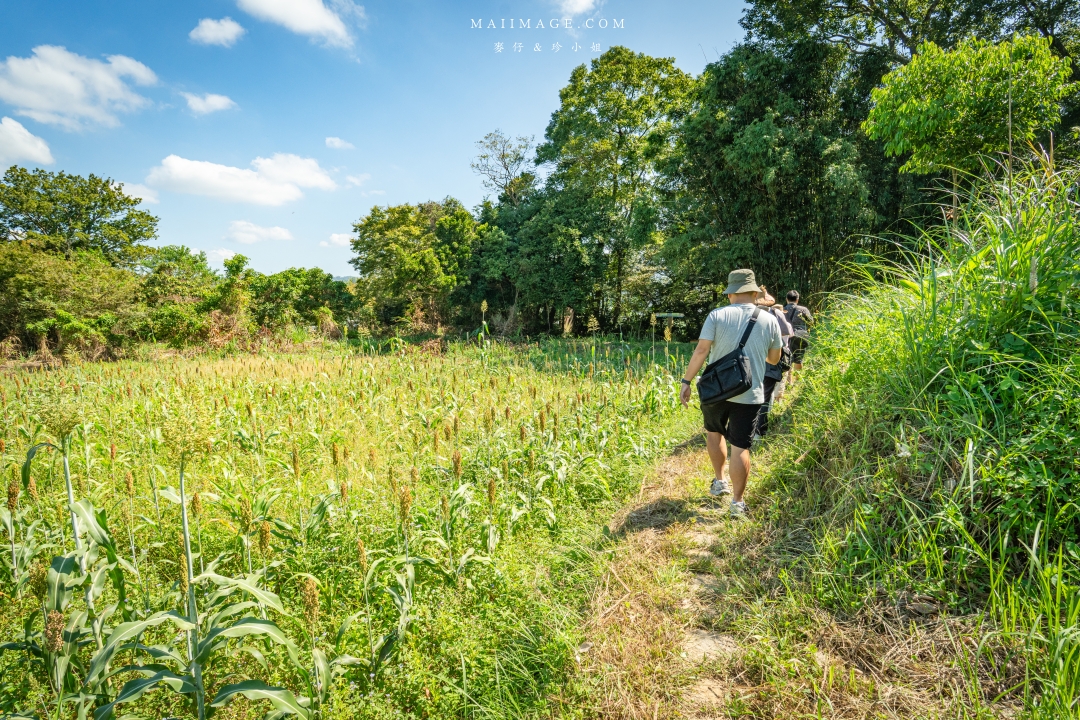 【新竹縣南埔散策】新竹南埔陳居百年水車～跟著水流尋找百年前的時光記憶。