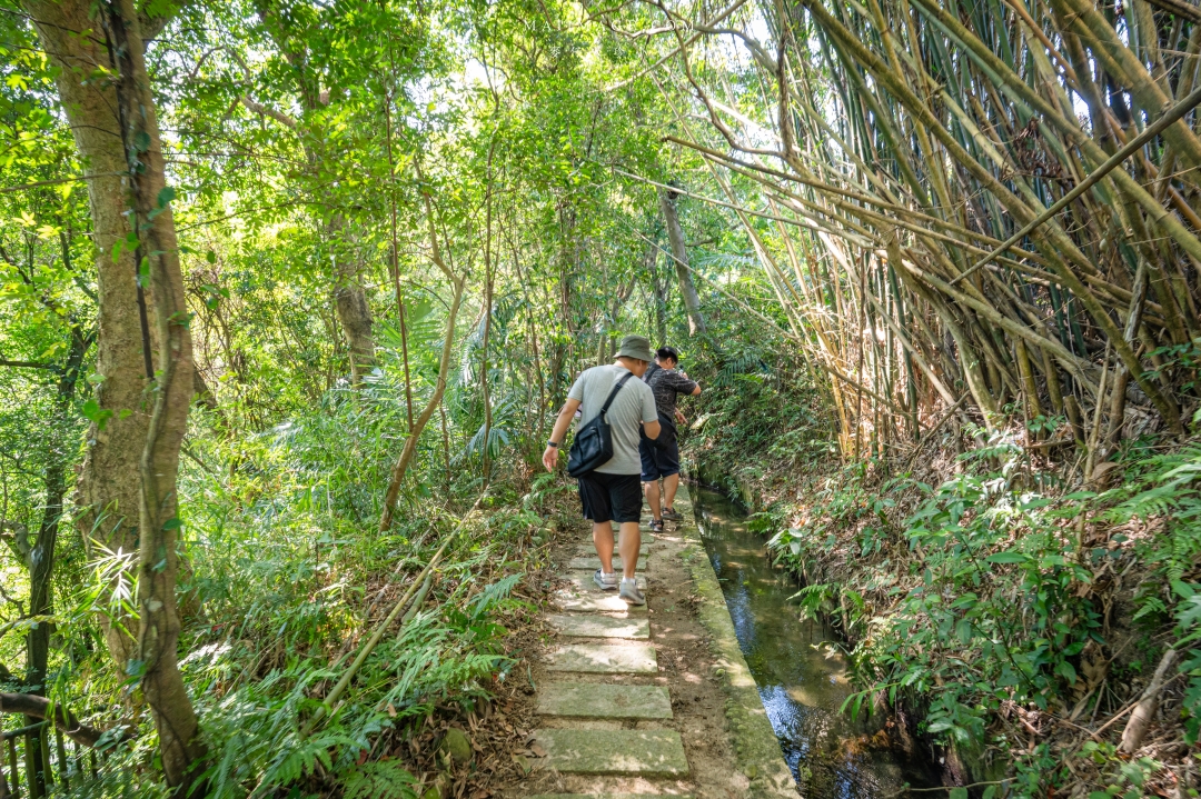 【新竹縣南埔散策】新竹南埔陳居百年水車～跟著水流尋找百年前的時光記憶。