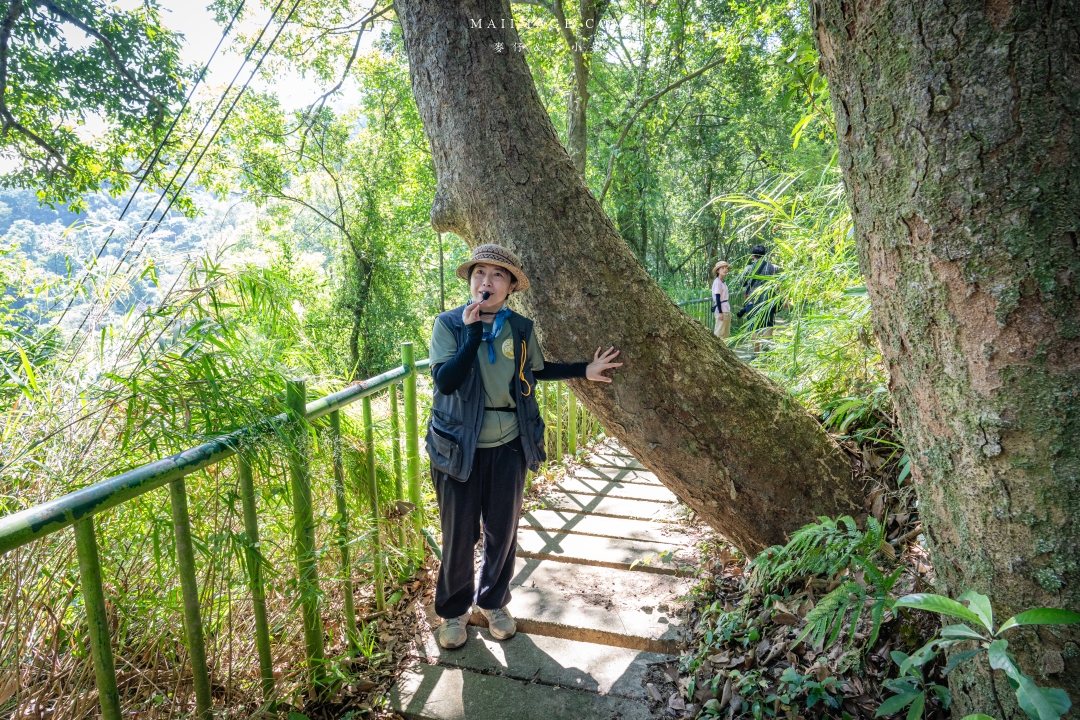 【新竹縣南埔散策】新竹南埔陳居百年水車～跟著水流尋找百年前的時光記憶。