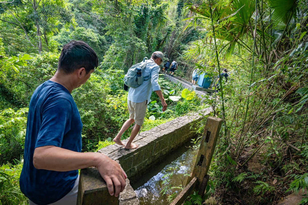 【新竹縣南埔散策】新竹南埔陳居百年水車～跟著水流尋找百年前的時光記憶。