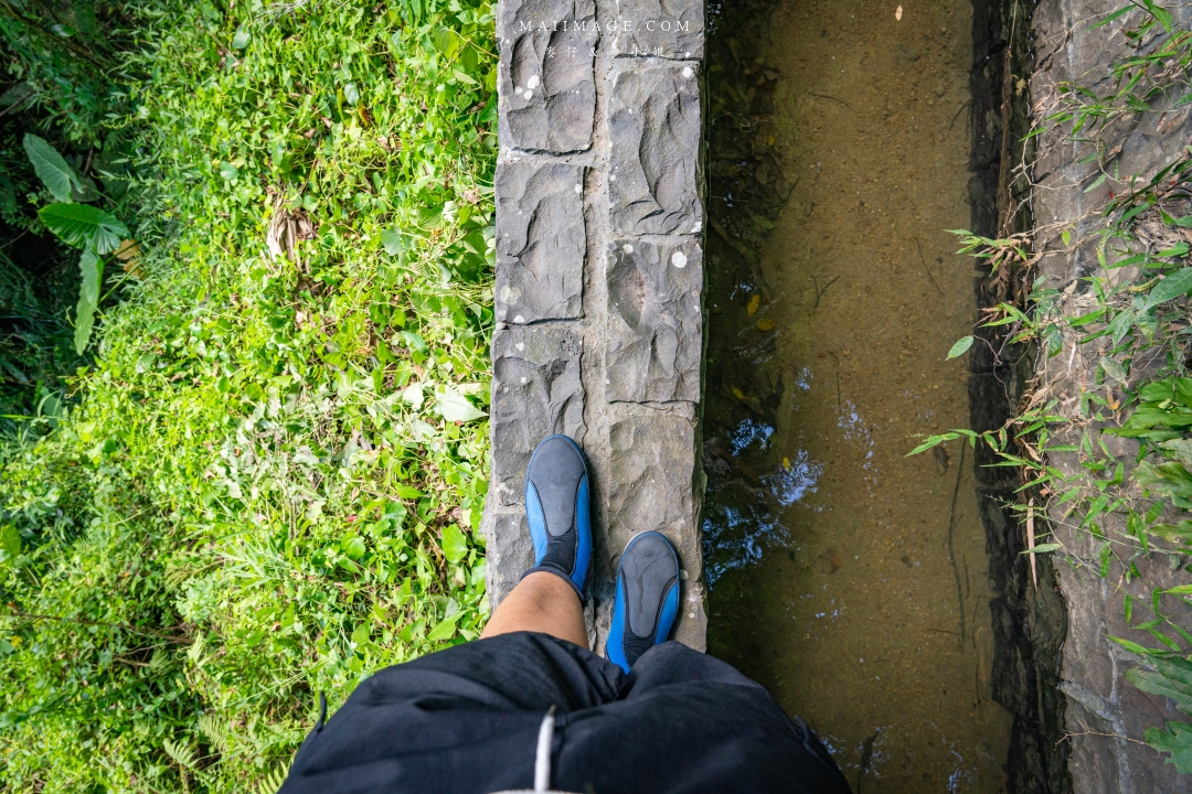 【新竹縣南埔散策】新竹南埔陳居百年水車～跟著水流尋找百年前的時光記憶。