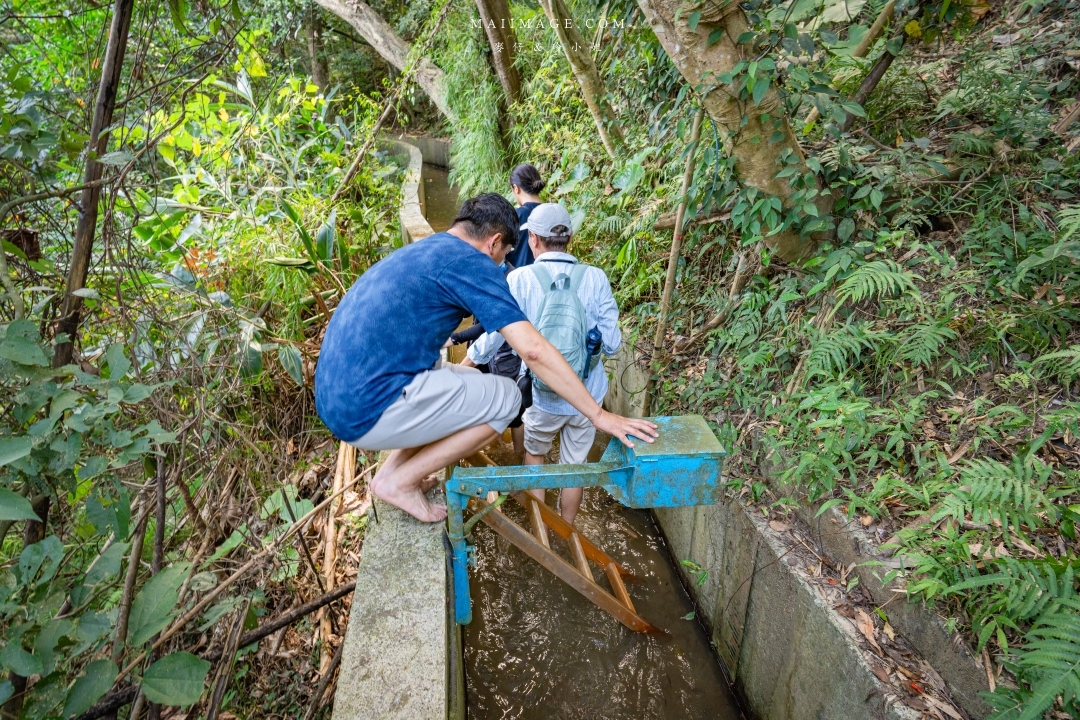 【新竹縣南埔散策】新竹南埔陳居百年水車～跟著水流尋找百年前的時光記憶。