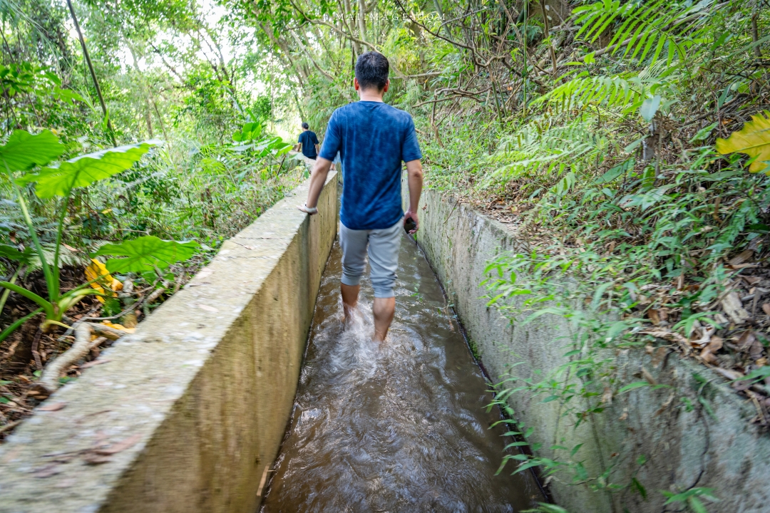 【新竹縣南埔散策】新竹南埔陳居百年水車～跟著水流尋找百年前的時光記憶。