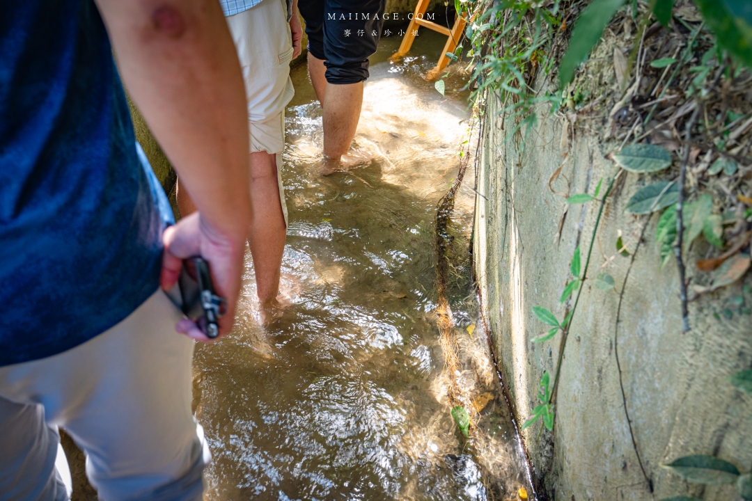 【新竹縣南埔散策】新竹南埔陳居百年水車～跟著水流尋找百年前的時光記憶。