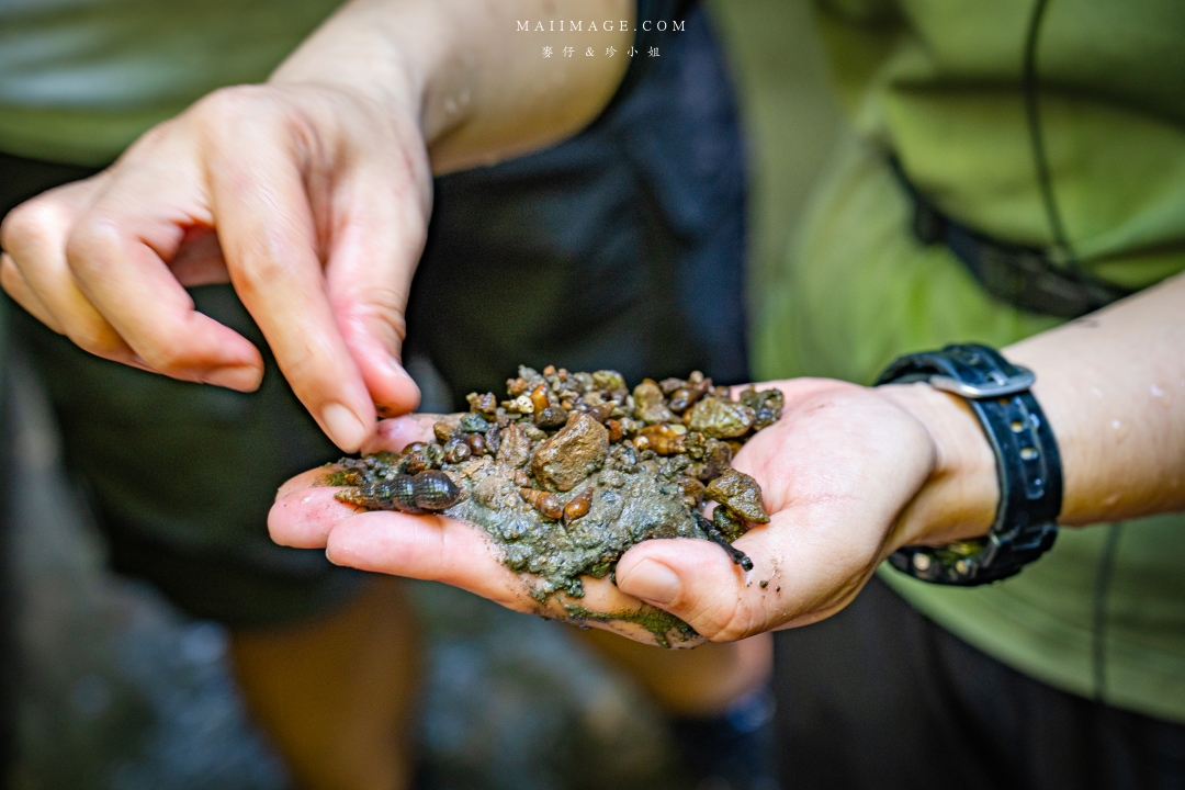 【新竹縣南埔散策】新竹南埔陳居百年水車～跟著水流尋找百年前的時光記憶。