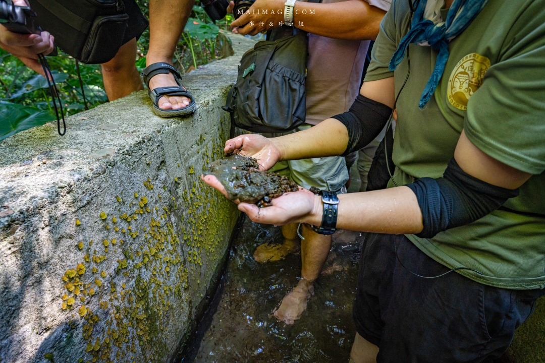 【新竹縣南埔散策】新竹南埔陳居百年水車～跟著水流尋找百年前的時光記憶。