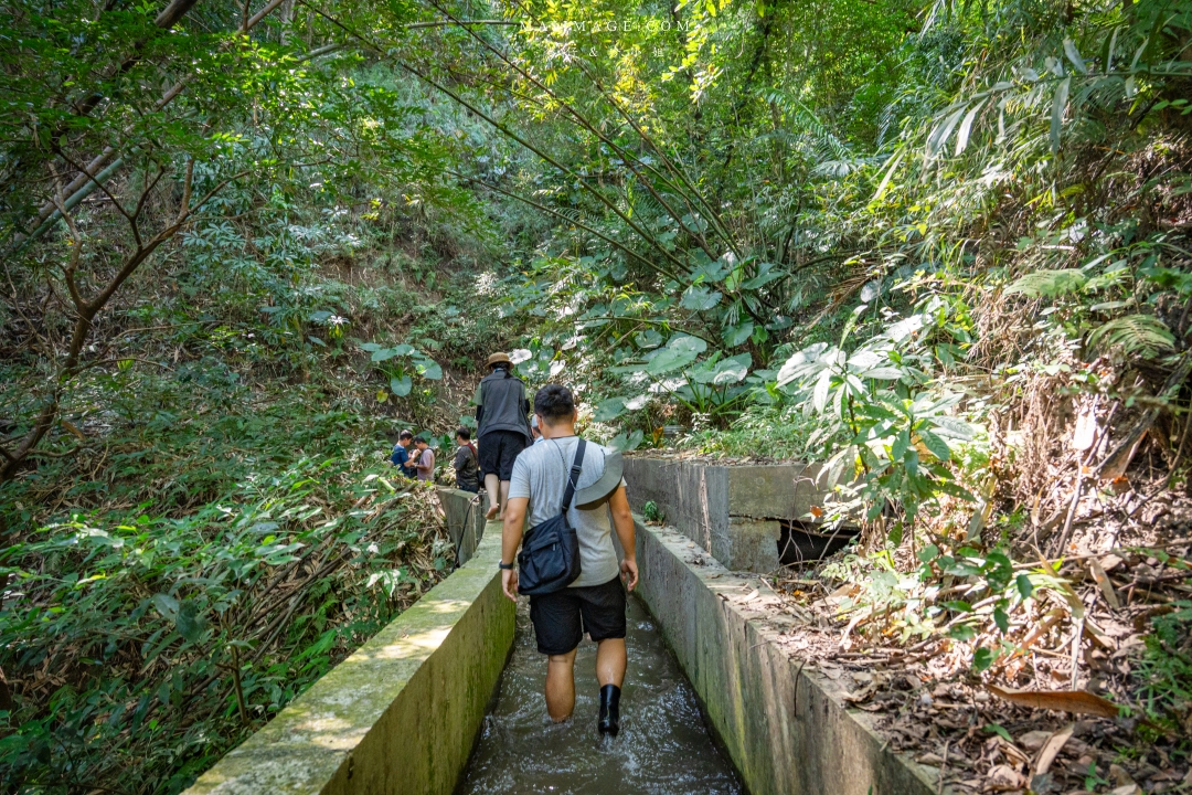 【新竹縣南埔散策】新竹南埔陳居百年水車～跟著水流尋找百年前的時光記憶。
