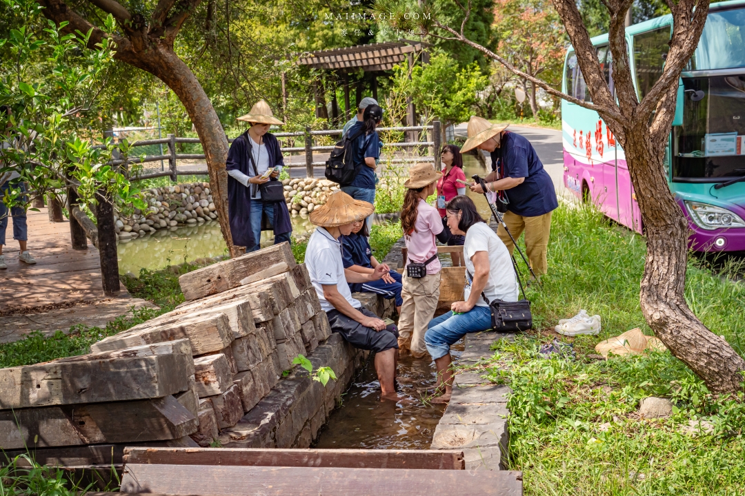 【新竹縣南埔散策】新竹南埔陳居百年水車～跟著水流尋找百年前的時光記憶。