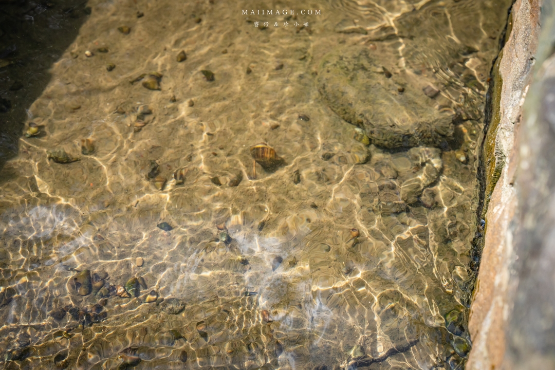 【新竹縣南埔散策】新竹南埔陳居百年水車～跟著水流尋找百年前的時光記憶。