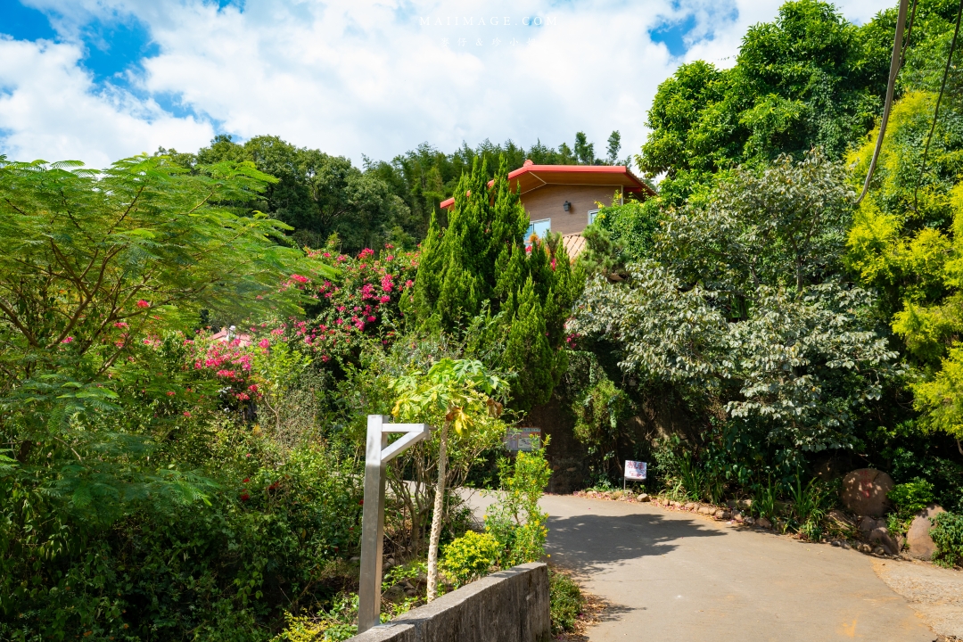 【新竹縣新埔散策】味衛佳柿餅觀光農場園區～10月限定金黃柿影滿山頭，秋日限定的甜蜜曬柿時光。