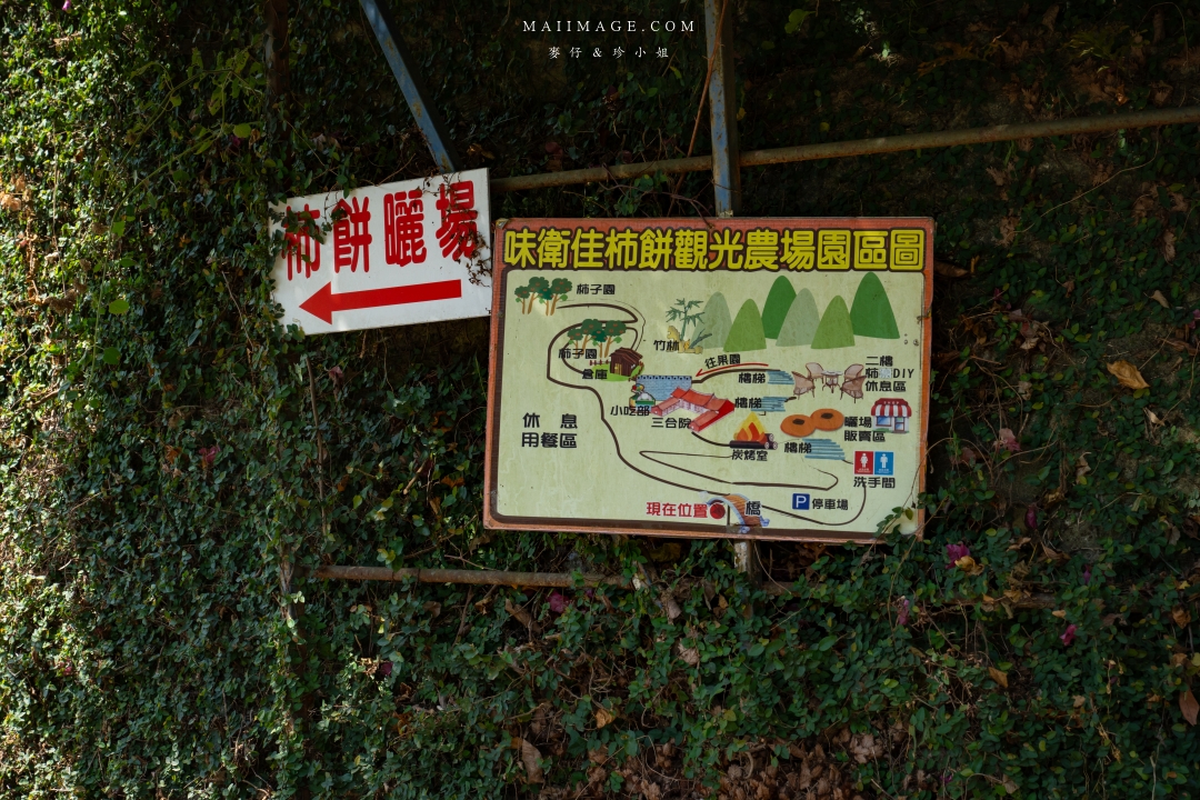 【新竹縣新埔散策】味衛佳柿餅觀光農場園區～10月限定金黃柿影滿山頭，秋日限定的甜蜜曬柿時光。