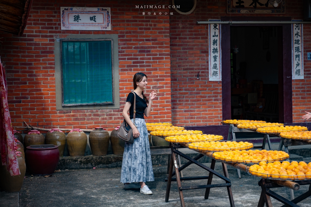 【新竹縣新埔散策】味衛佳柿餅觀光農場園區～10月限定金黃柿影滿山頭，秋日限定的甜蜜曬柿時光。