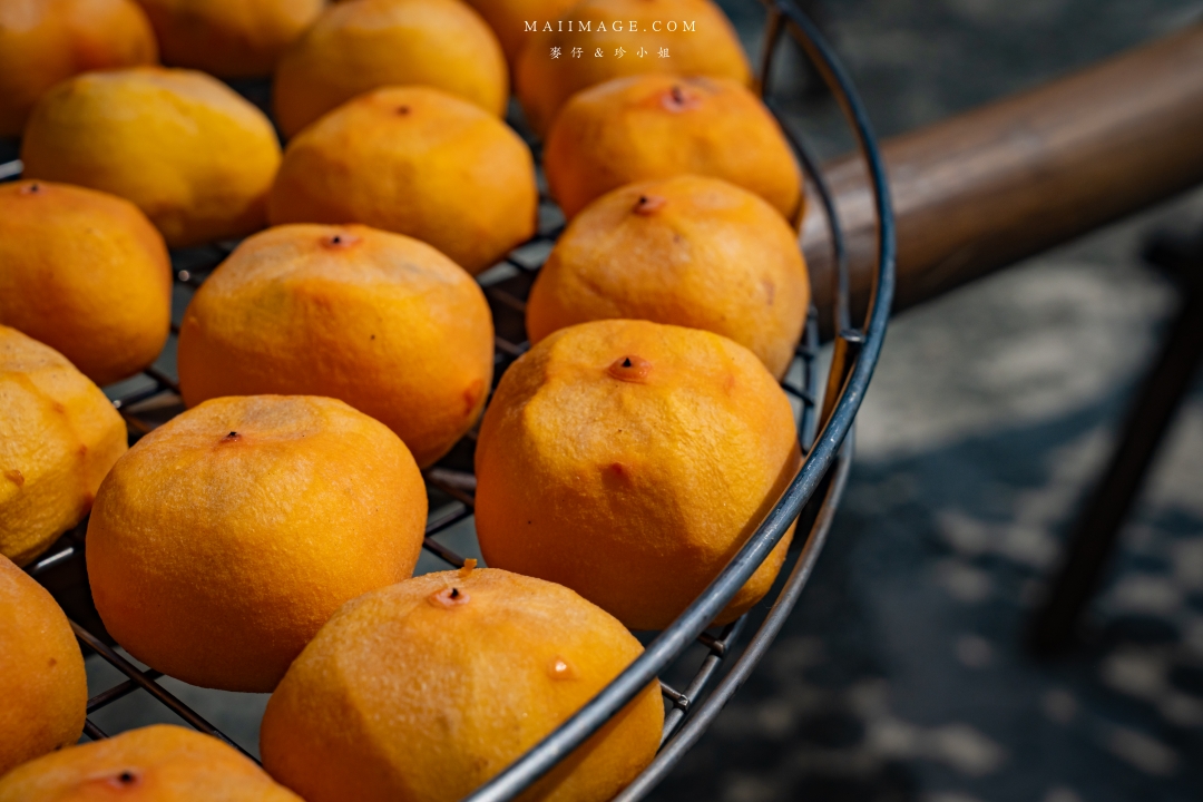 【新竹縣新埔散策】味衛佳柿餅觀光農場園區～10月限定金黃柿影滿山頭，秋日限定的甜蜜曬柿時光。