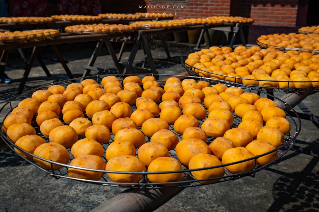 【新竹縣新埔散策】味衛佳柿餅觀光農場園區～10月限定金黃柿影滿山頭，秋日限定的甜蜜曬柿時光。